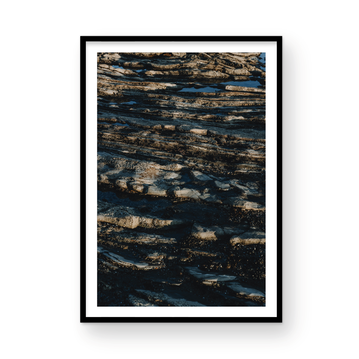 Low Tide, Three