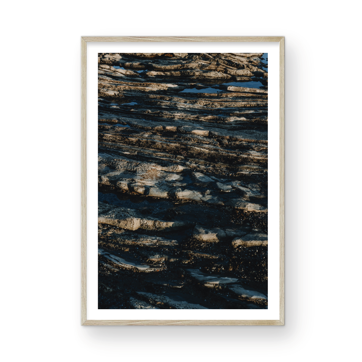 Low Tide, Three