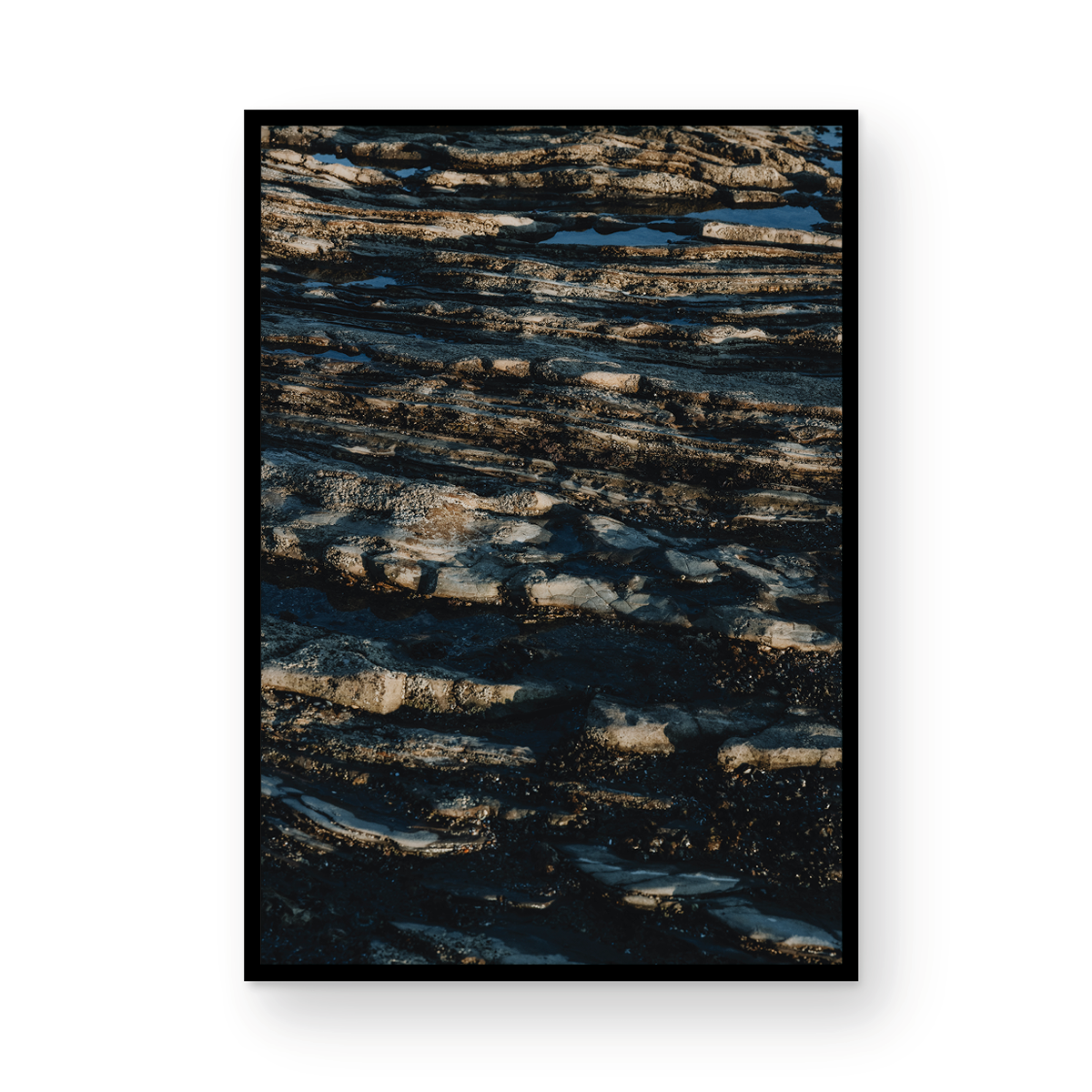 Low Tide, Three