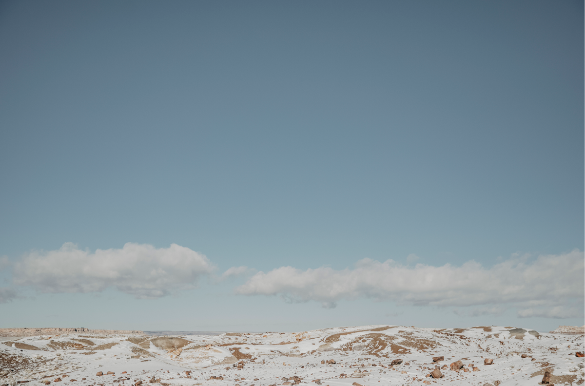 Arizona Winter