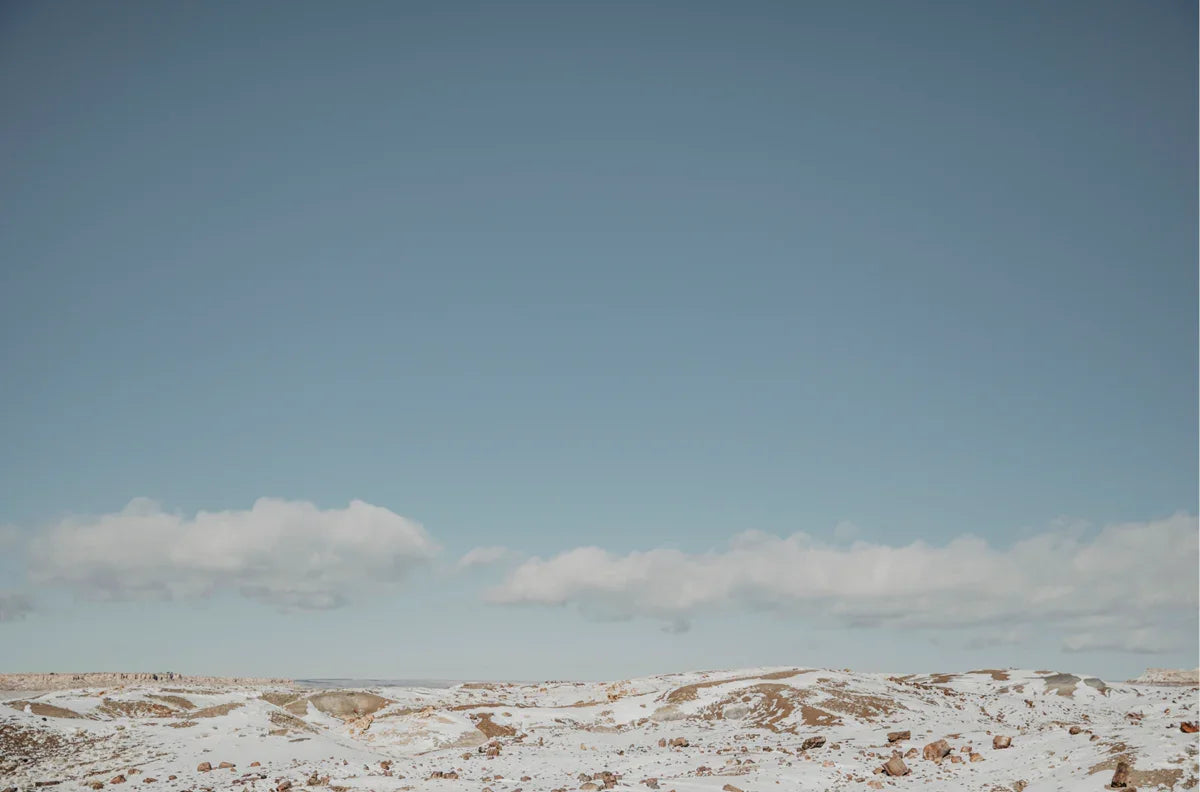 Arizona Winter