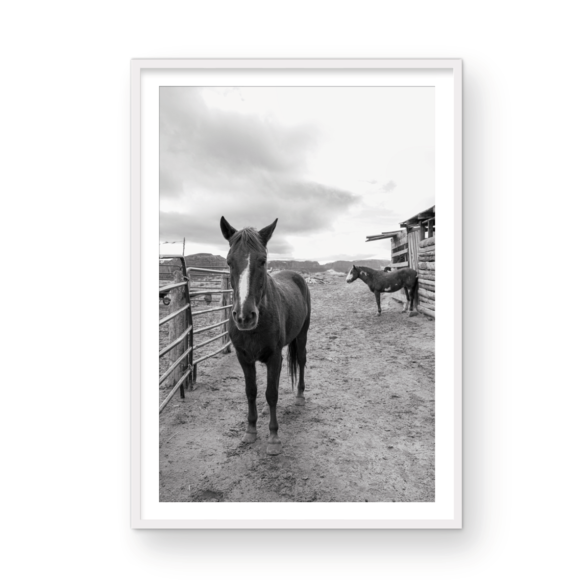 Monument Valley, Two: Monochrome
