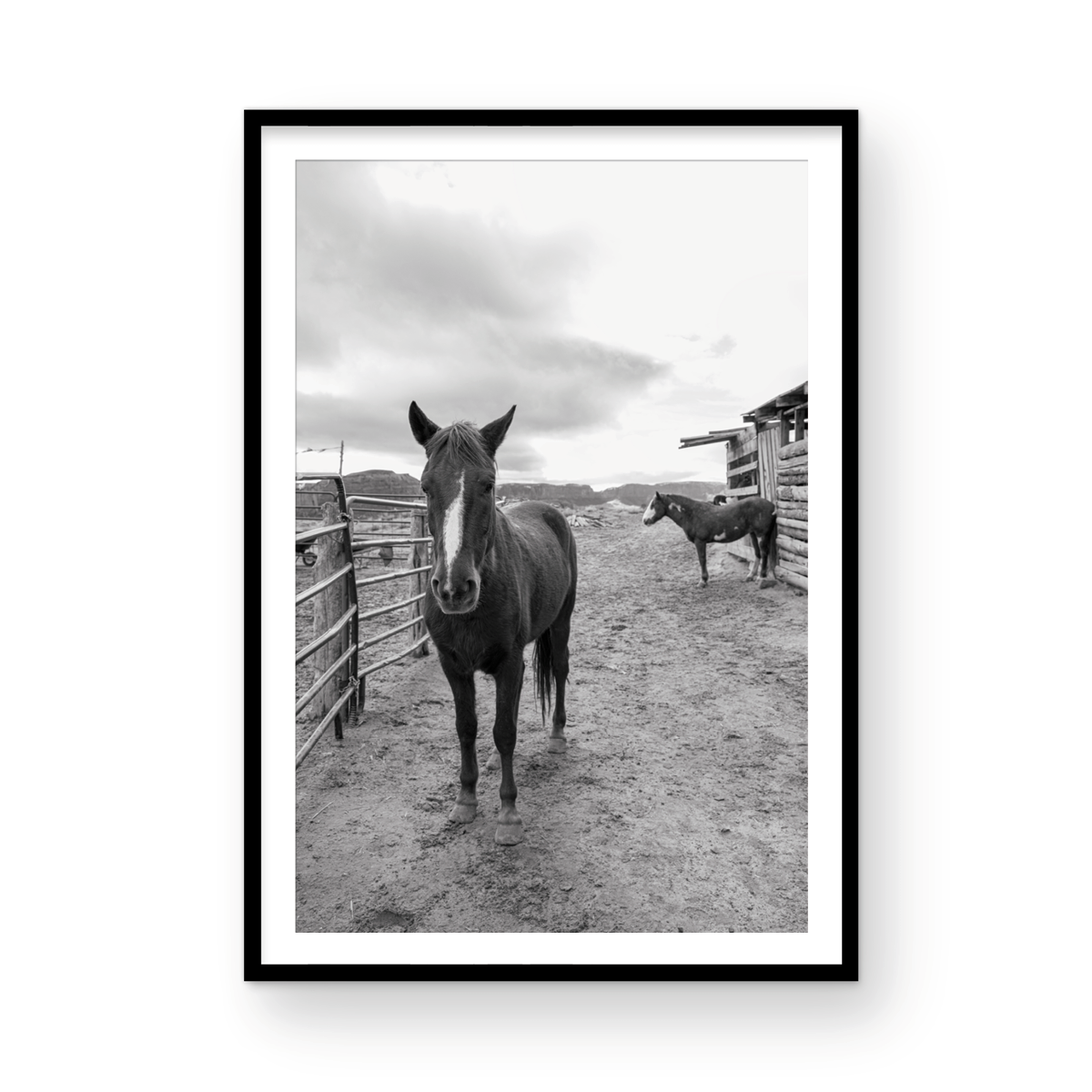 Monument Valley, Two: Monochrome