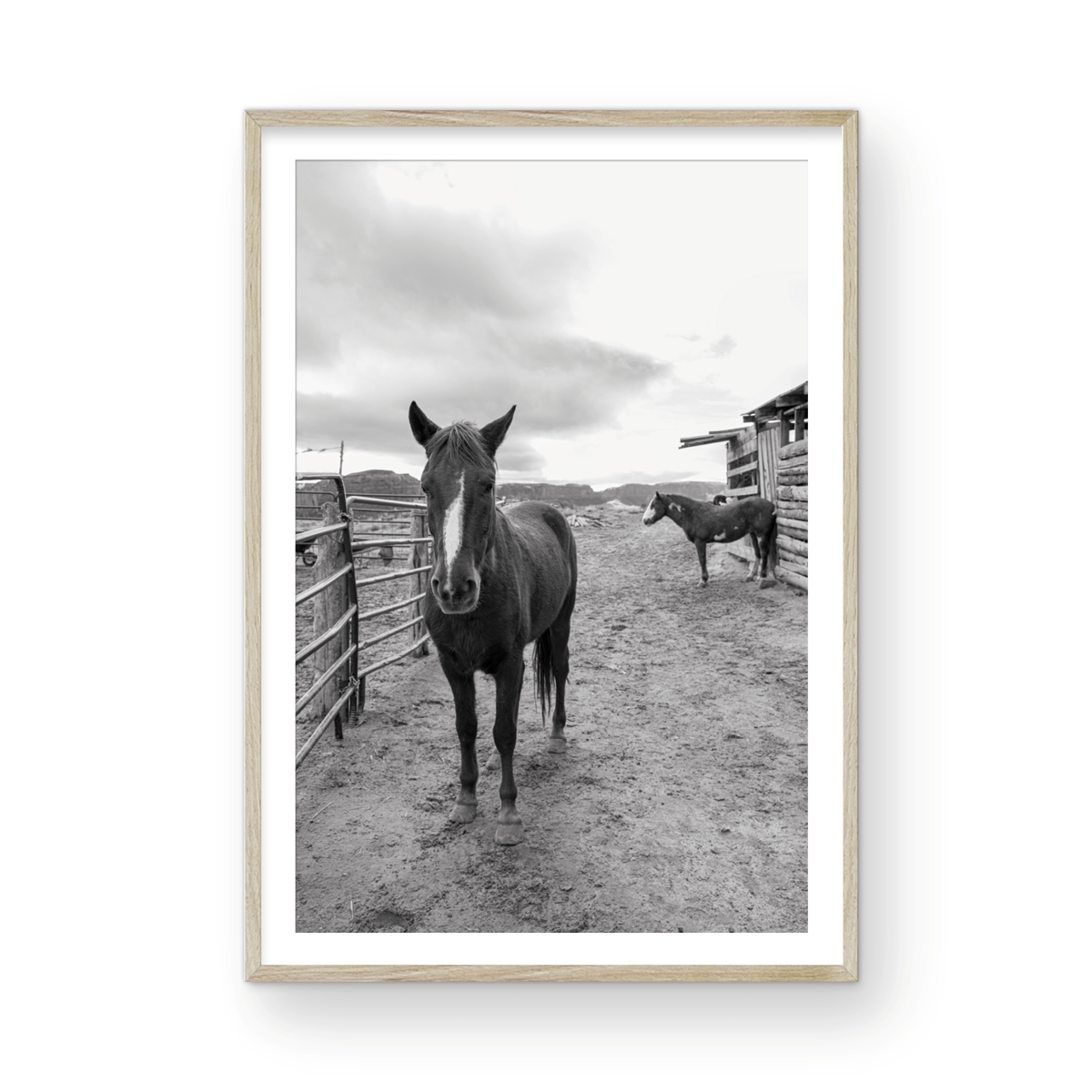 Monument Valley, Two: Monochrome