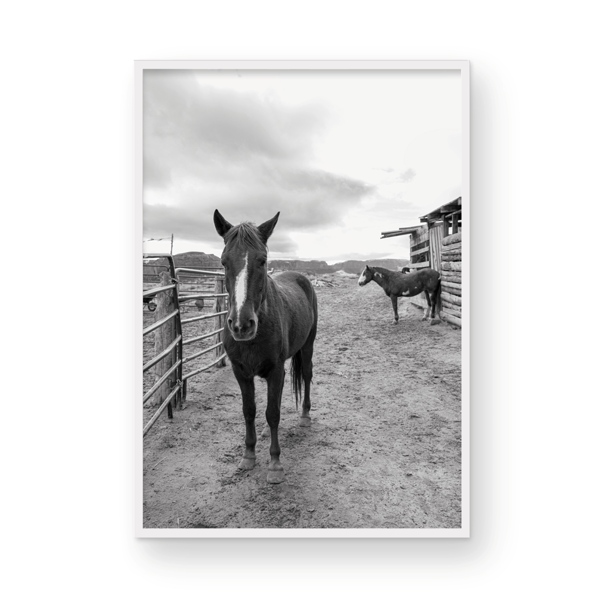 Monument Valley, Two: Monochrome