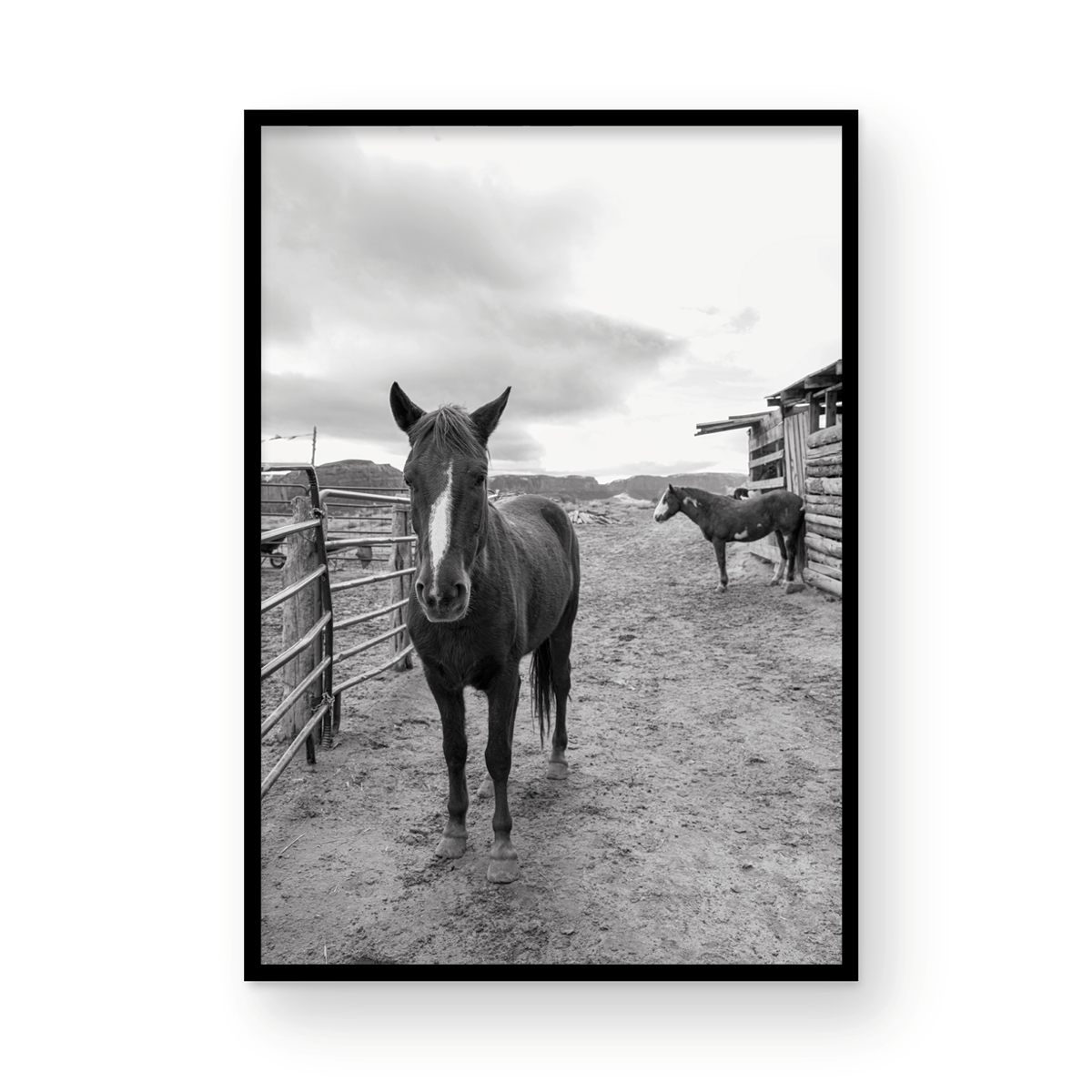 Monument Valley, Two: Monochrome