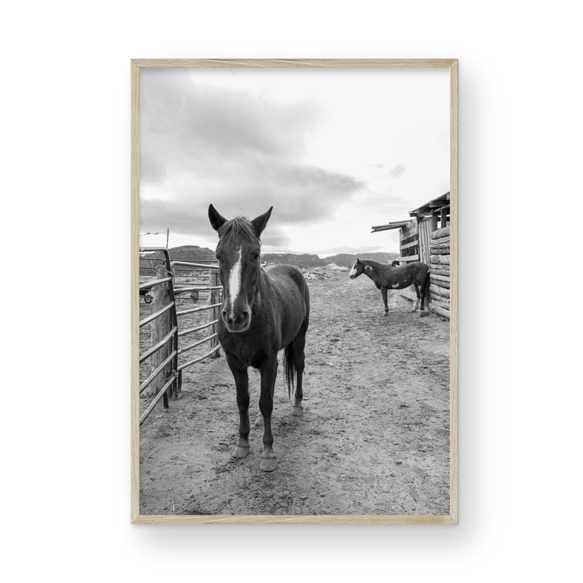Monument Valley, Two: Monochrome