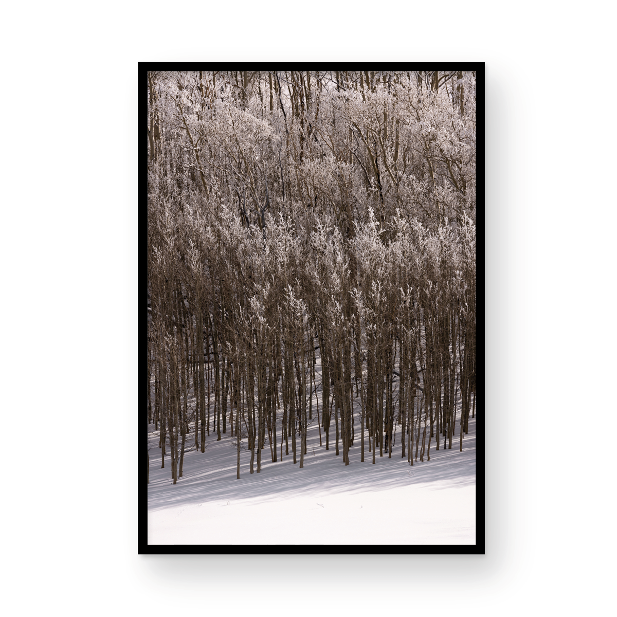 Dixie National Forest, Five