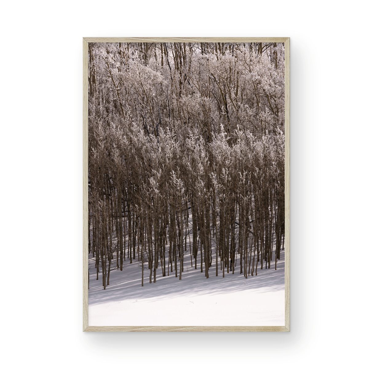 Dixie National Forest, Five