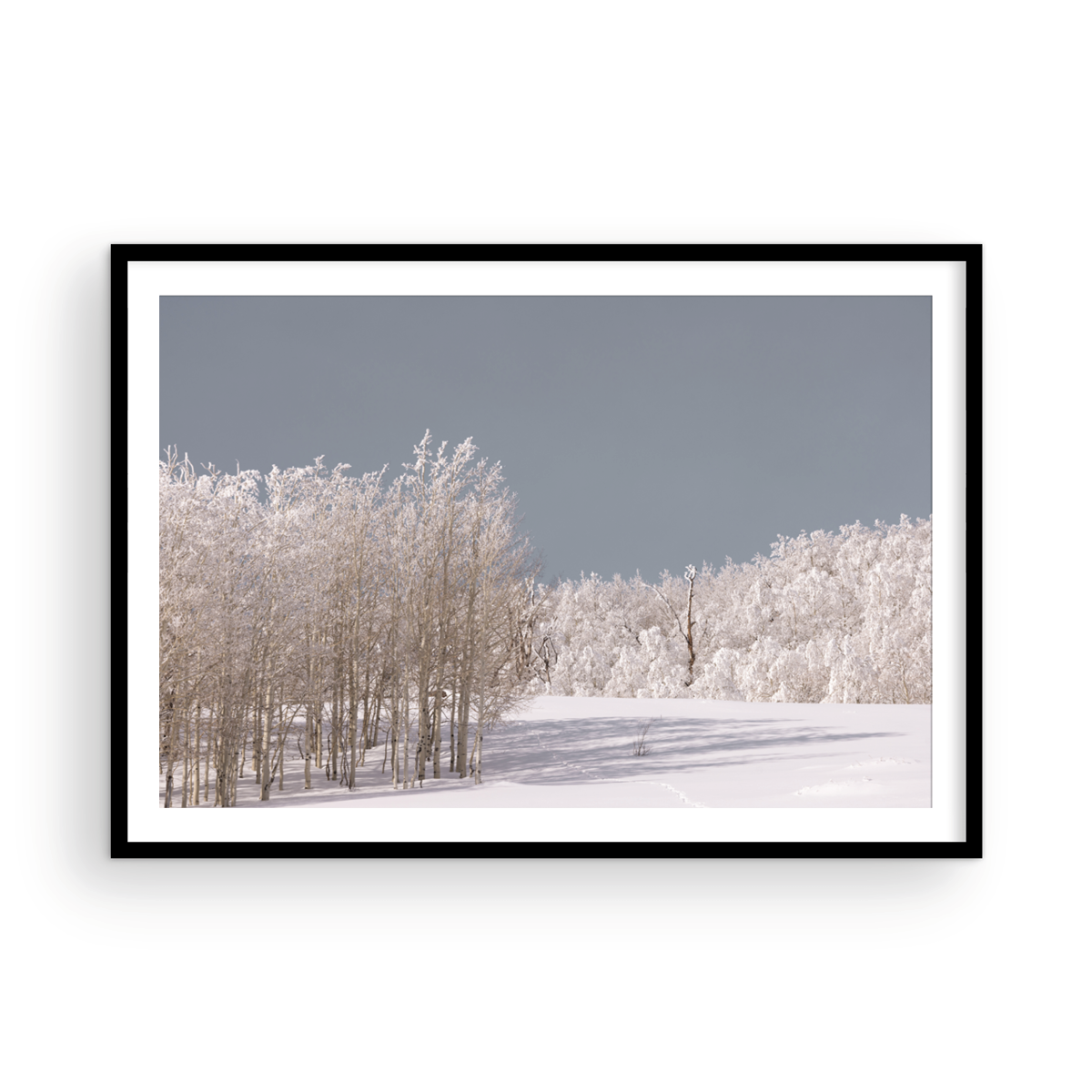 Dixie National Forest, One
