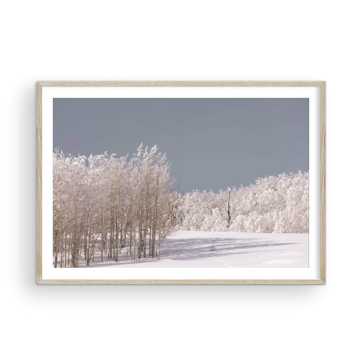 Dixie National Forest, One