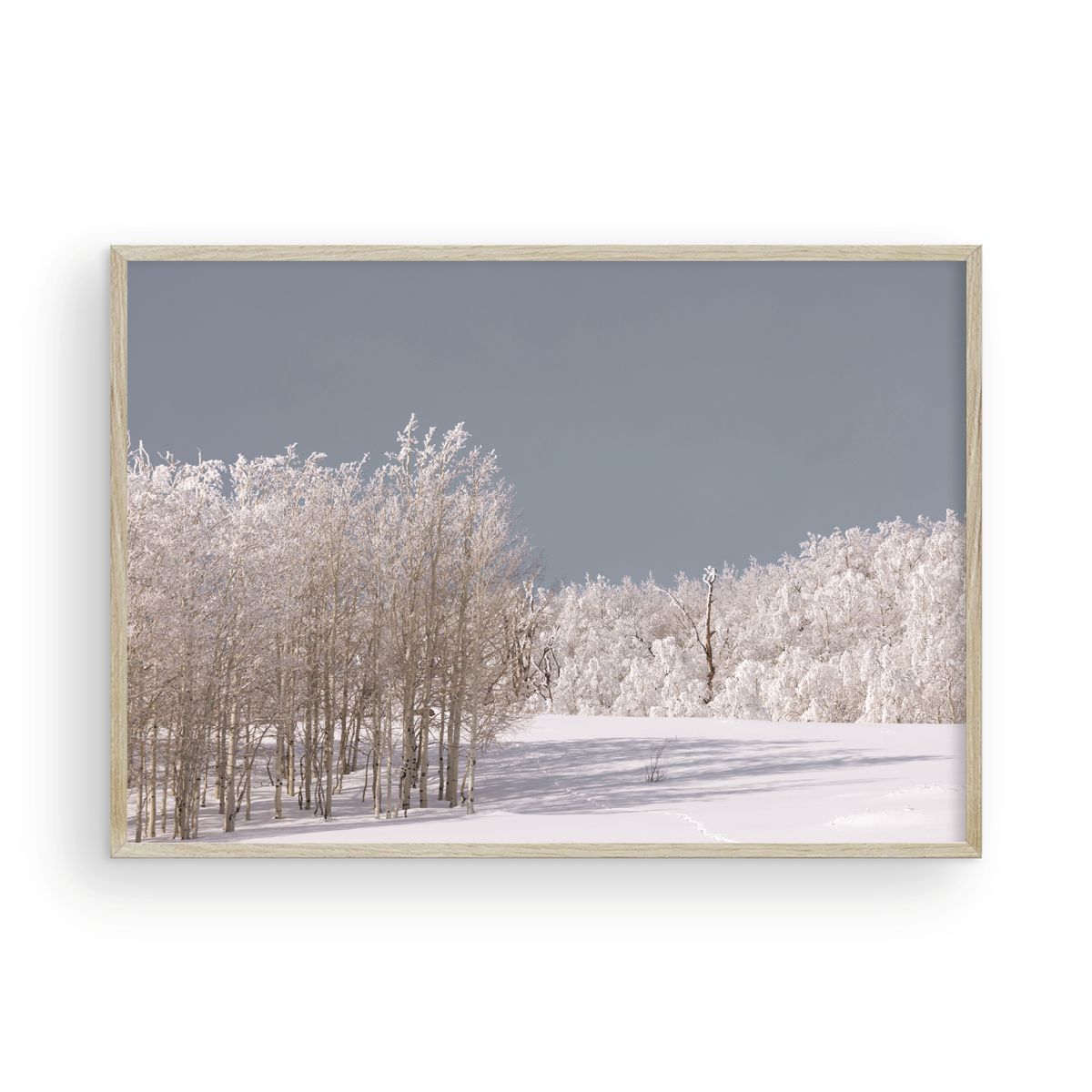 Dixie National Forest, One