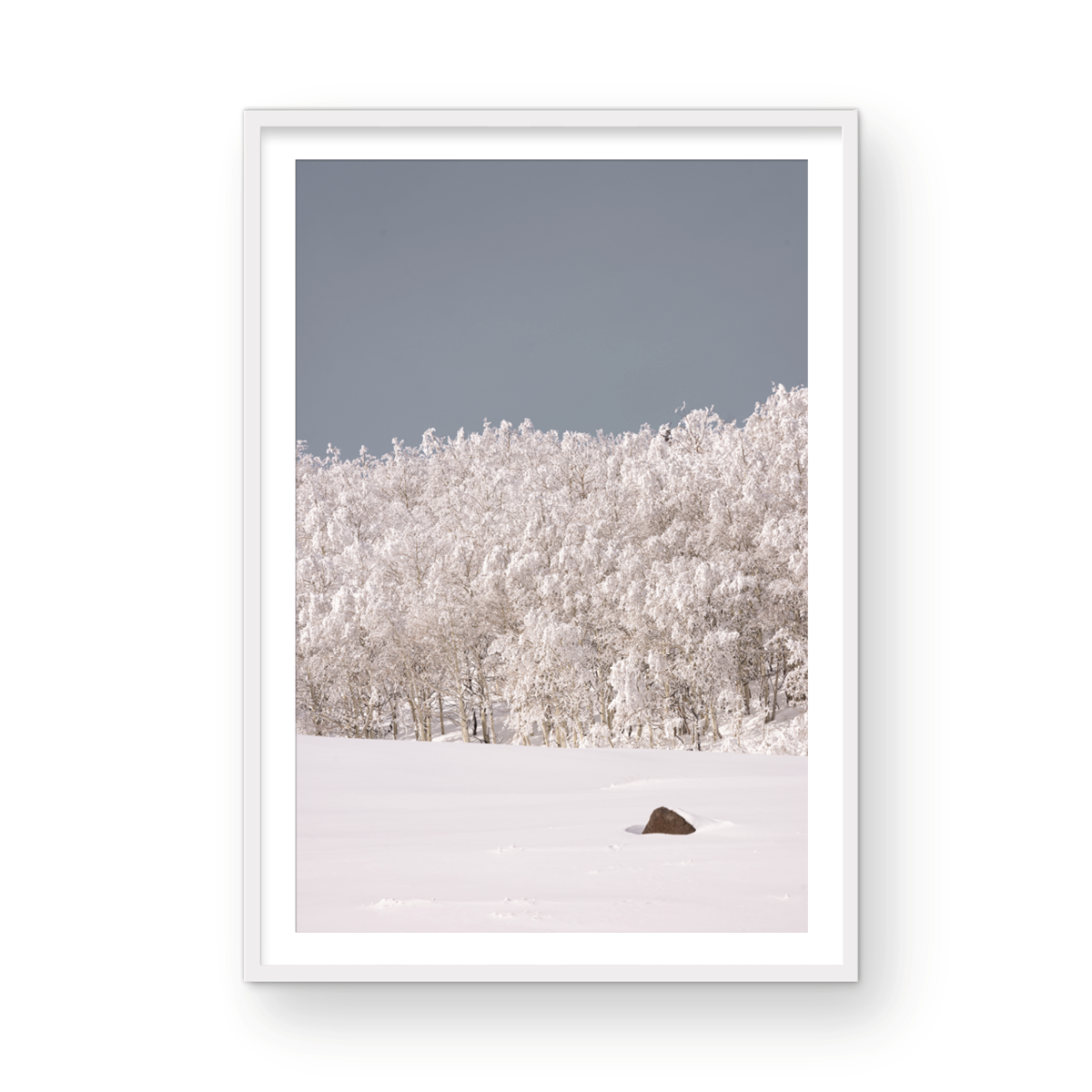 Dixie National Forest, Two