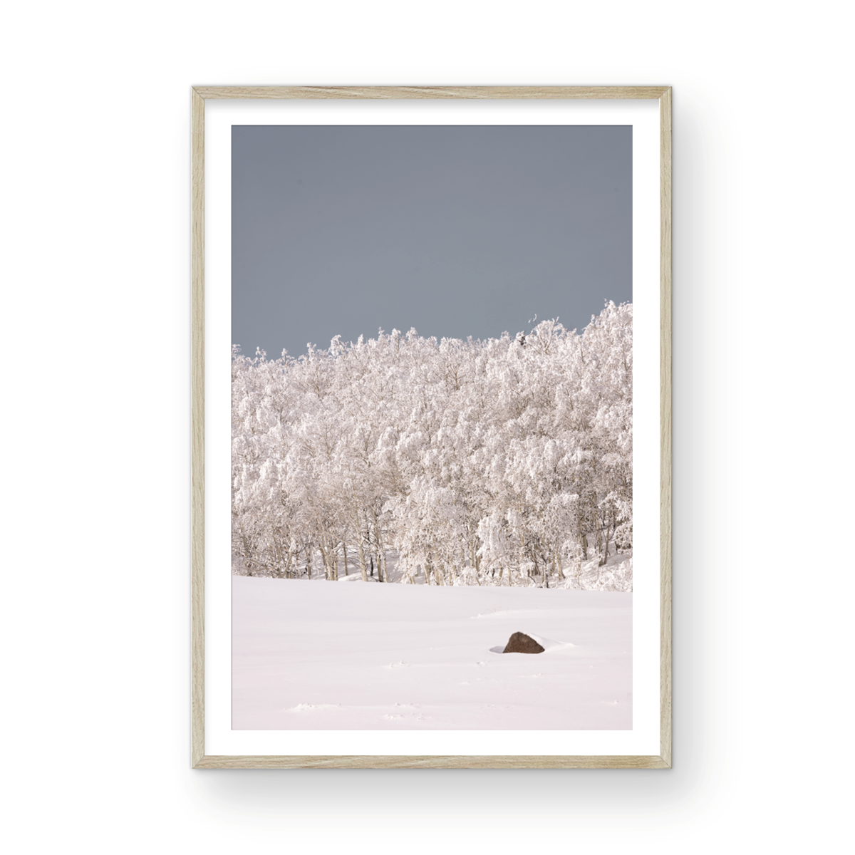 Dixie National Forest, Two