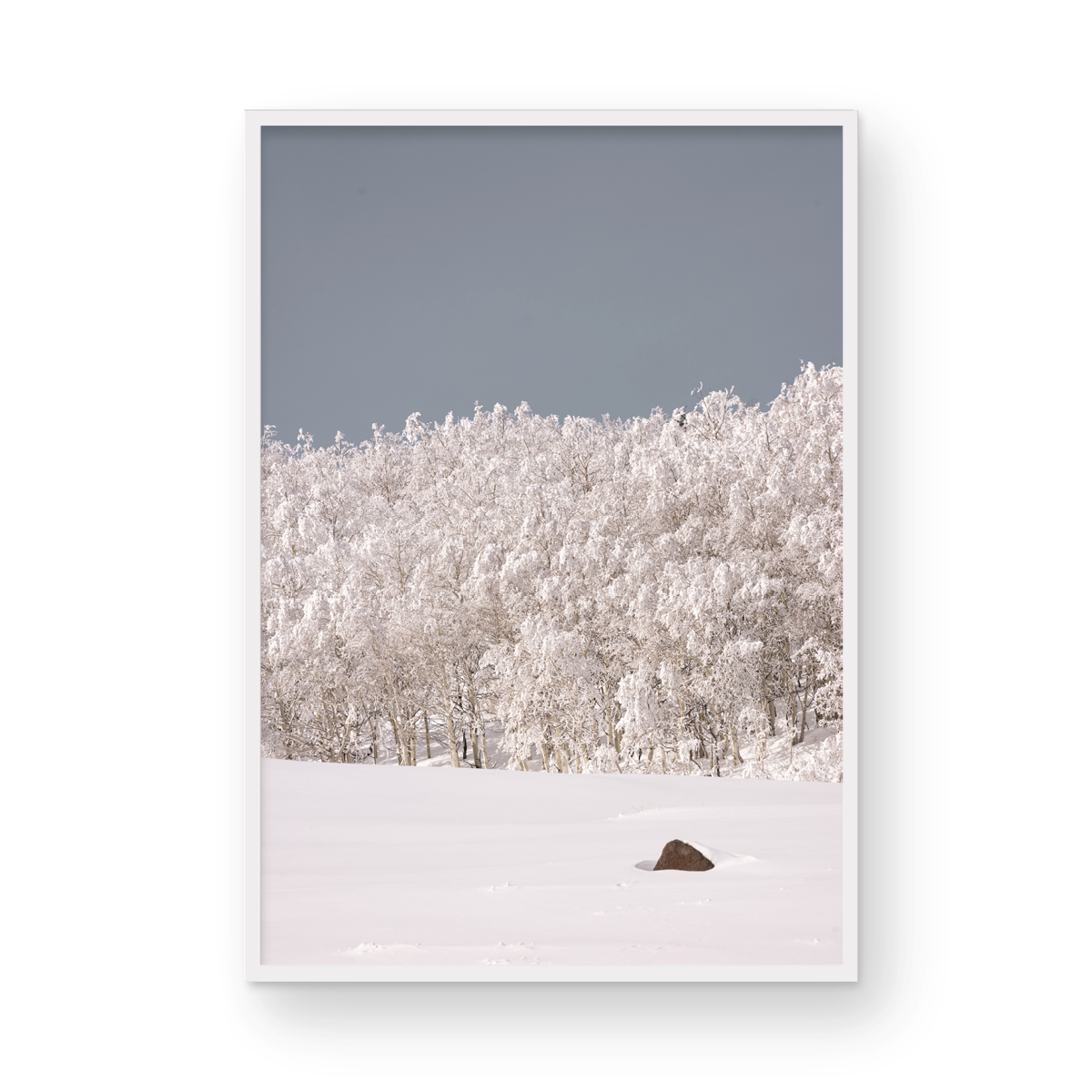 Dixie National Forest, Two