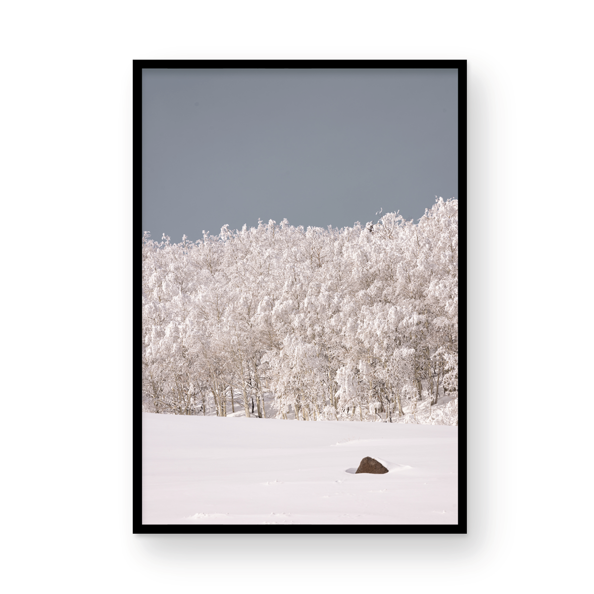 Dixie National Forest, Two