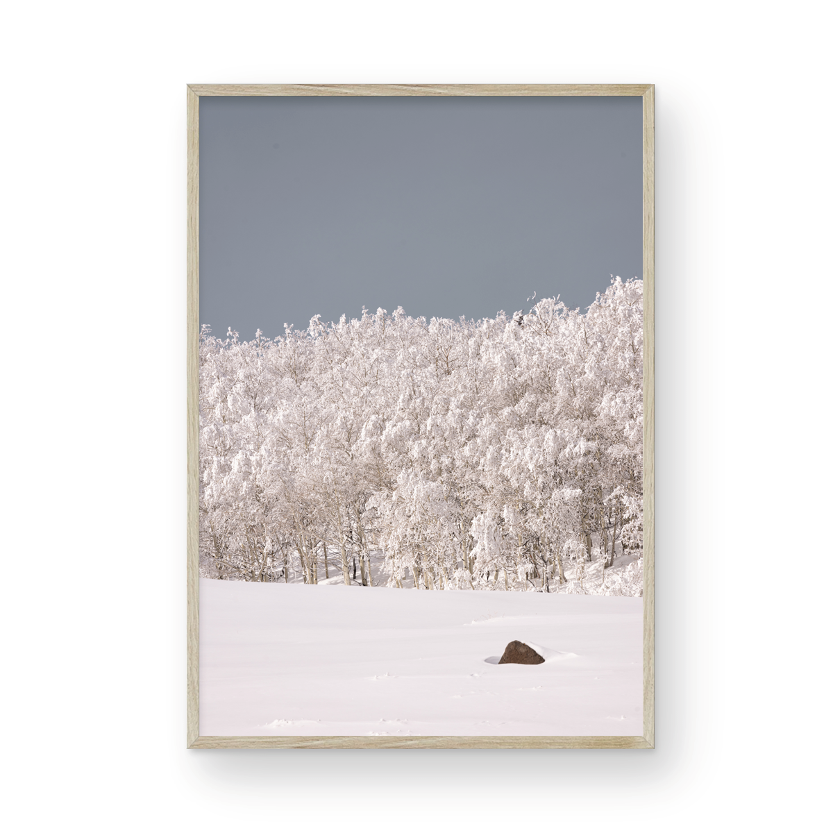 Dixie National Forest, Two