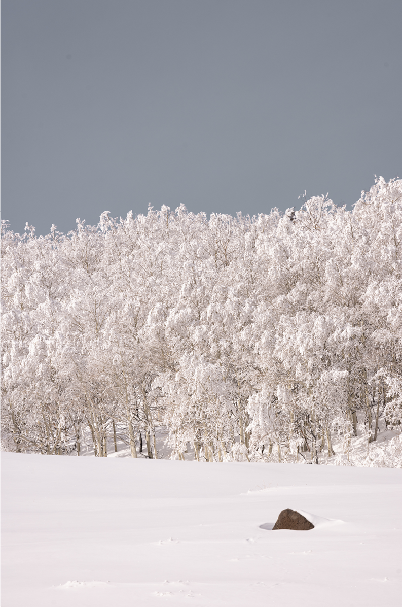 Dixie National Forest, Two