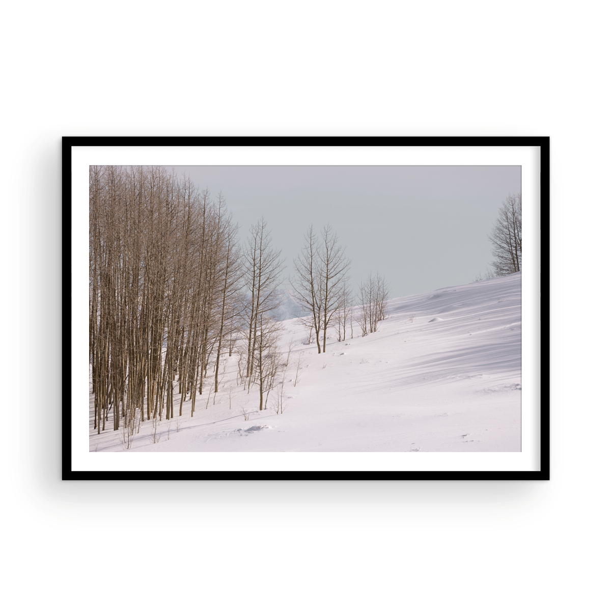 Dixie National Forest, Three