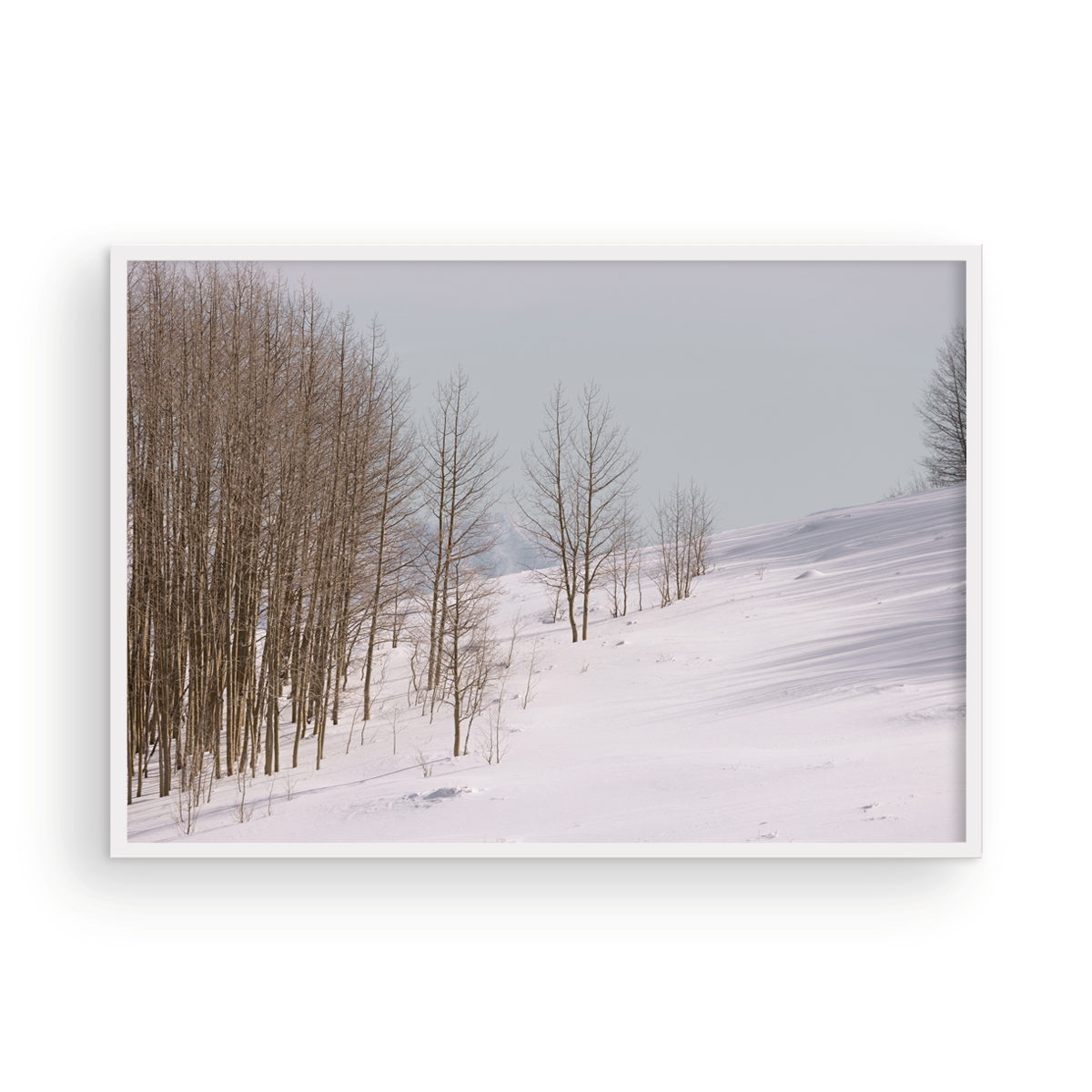 Dixie National Forest, Three