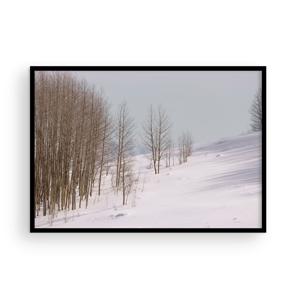 Dixie National Forest, Three