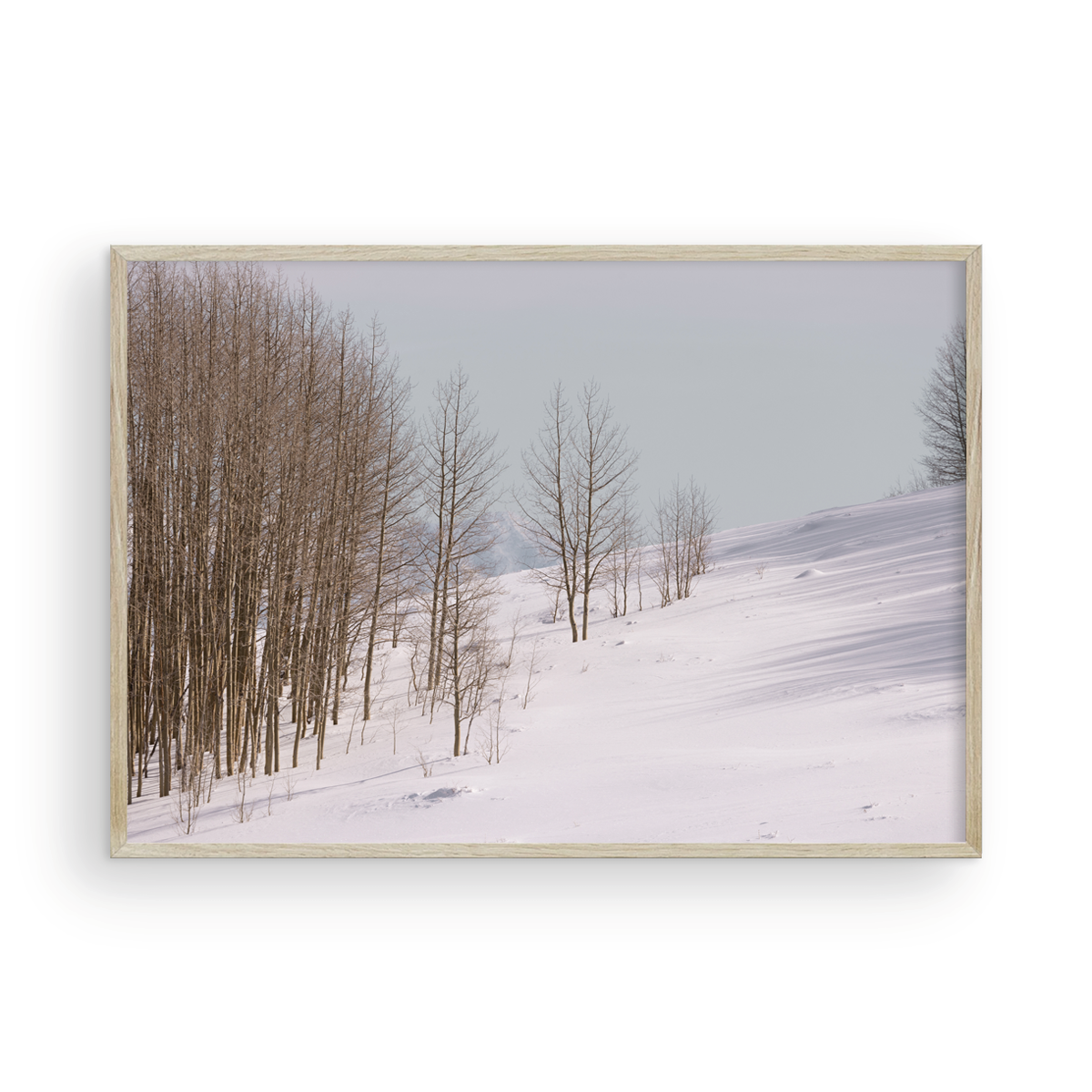 Dixie National Forest, Three