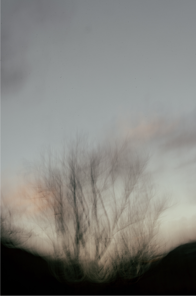 Sunset in Zion, Six
