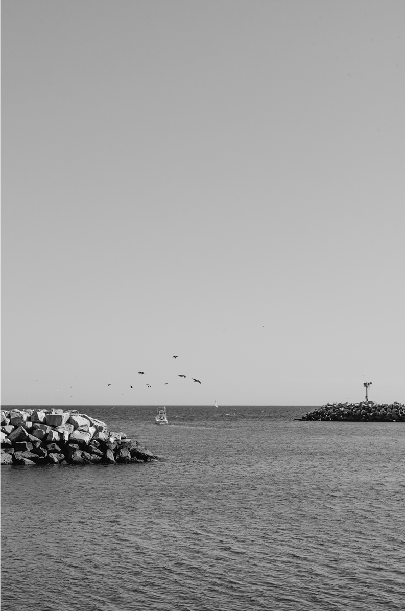 Dana Point Harbor, Seven: Monochrome