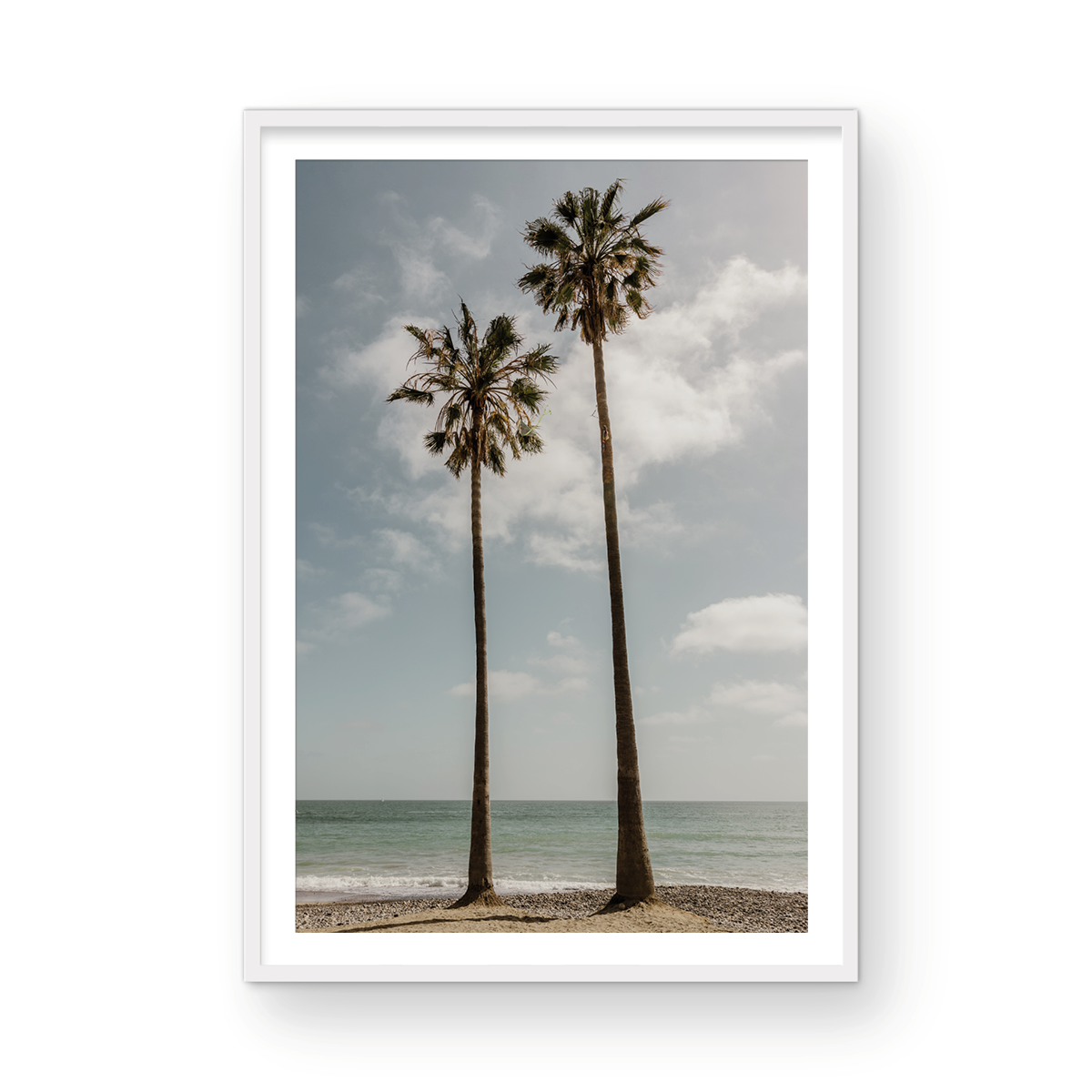 Sibling Palms, Two