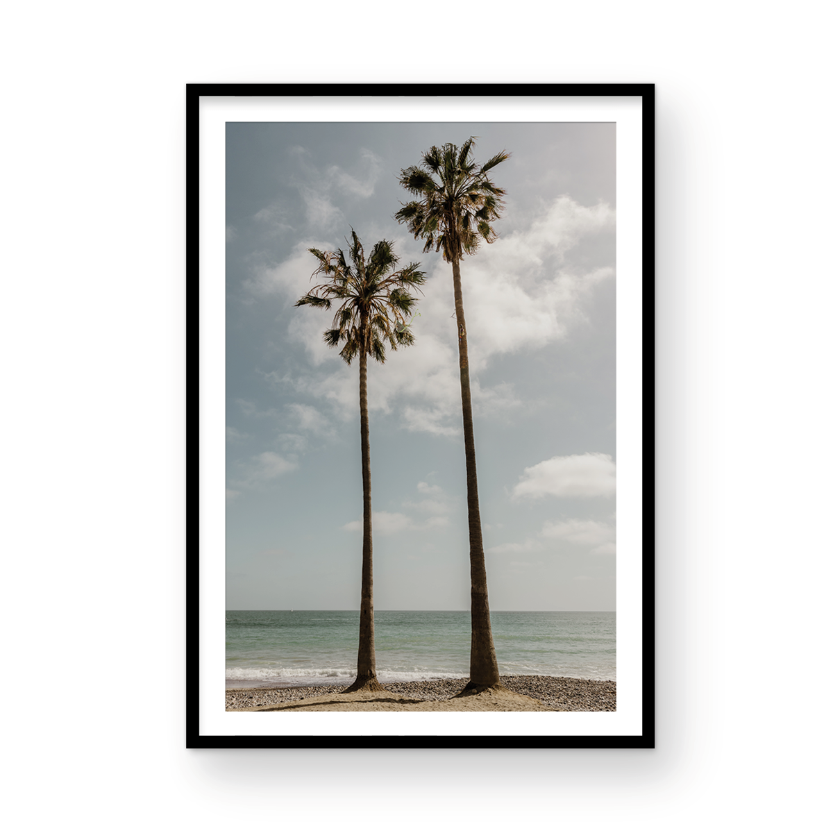 Sibling Palms, Two
