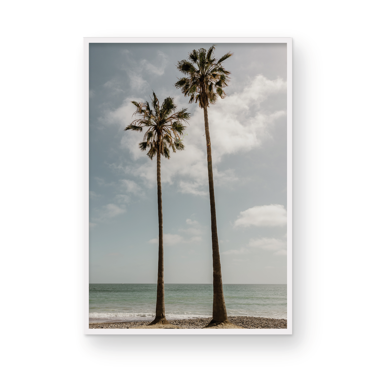 Sibling Palms, Two