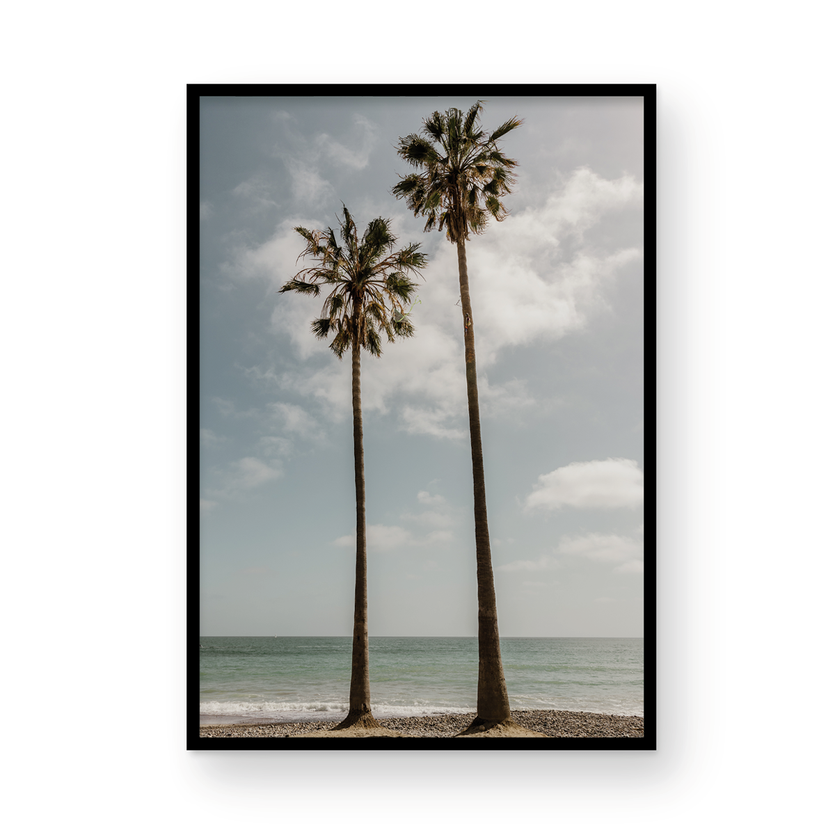 Sibling Palms, Two