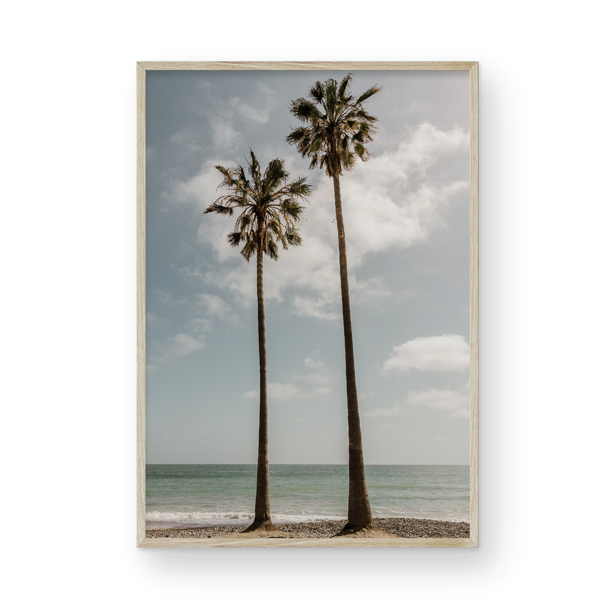 Sibling Palms, Two