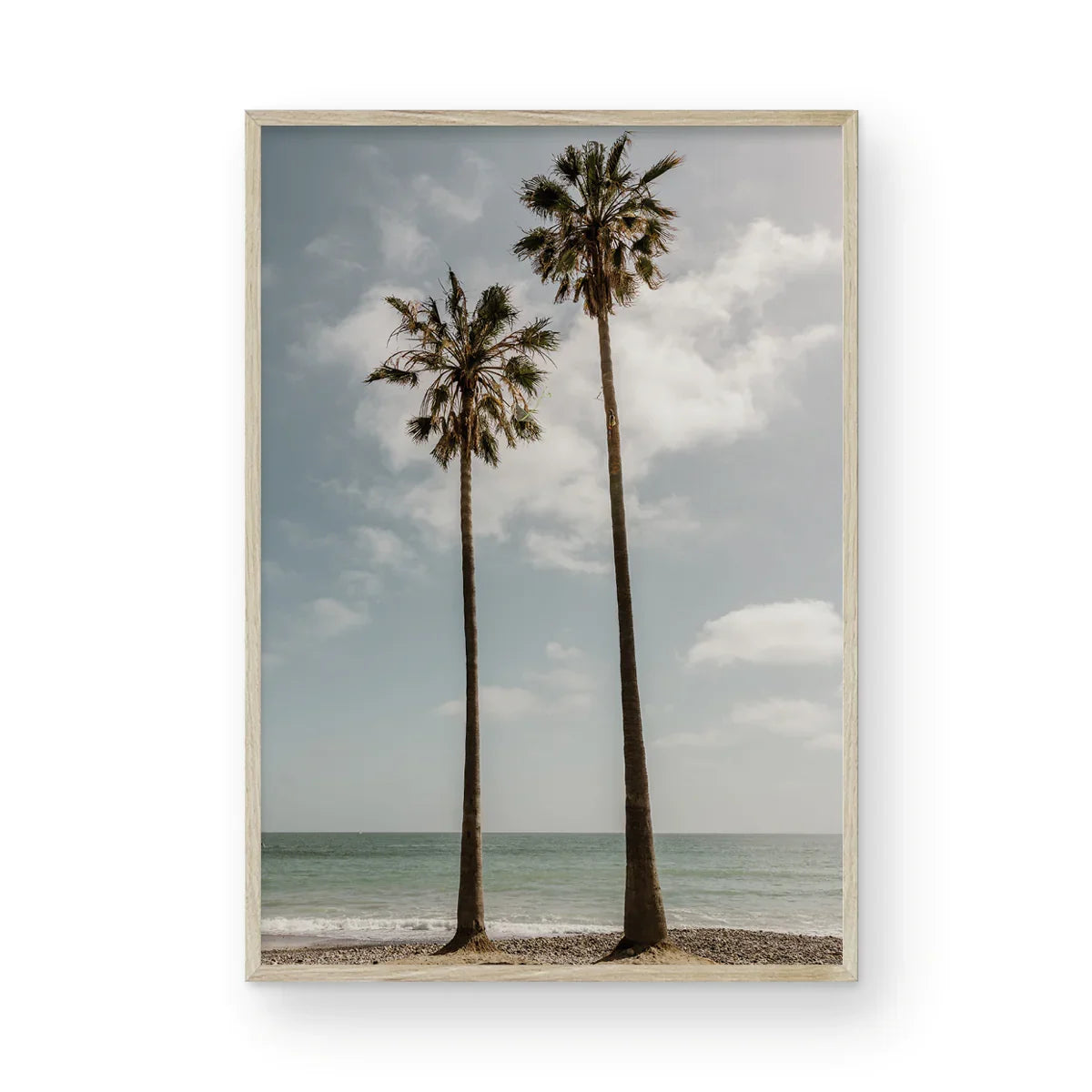 Sibling Palms, Two