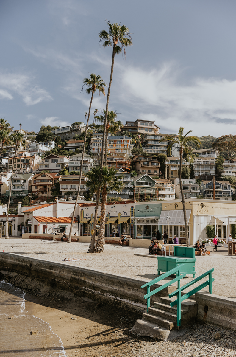 Catalina, Eleven