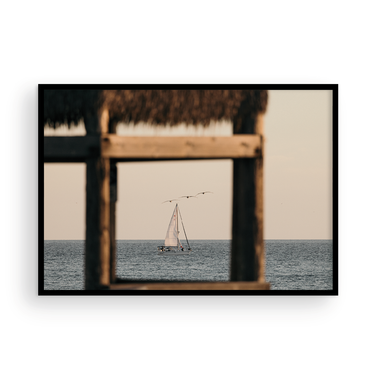 Doheny, Six