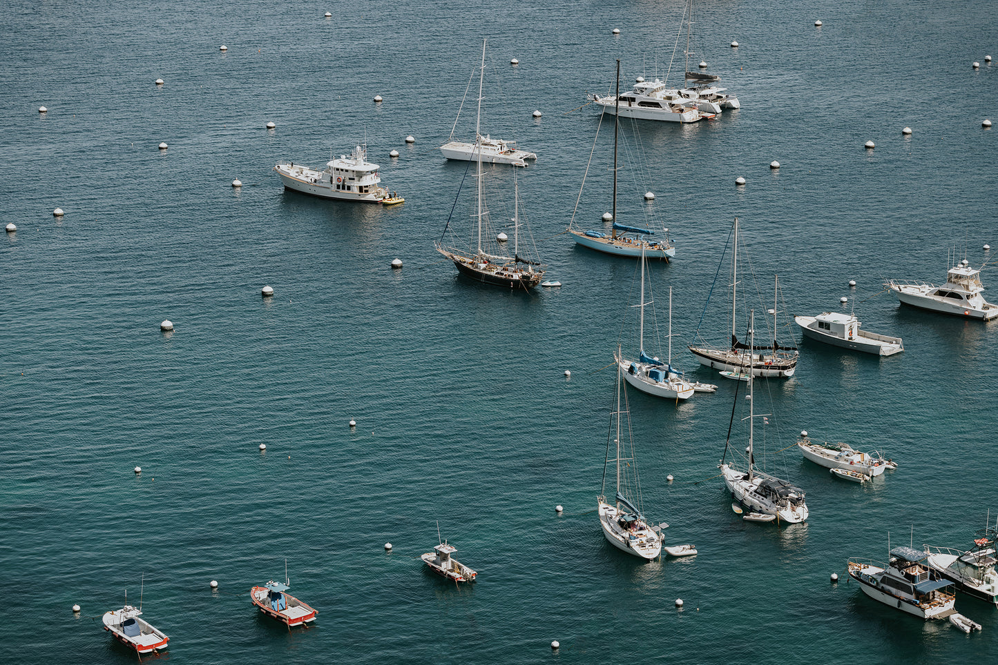 Catalina, Two