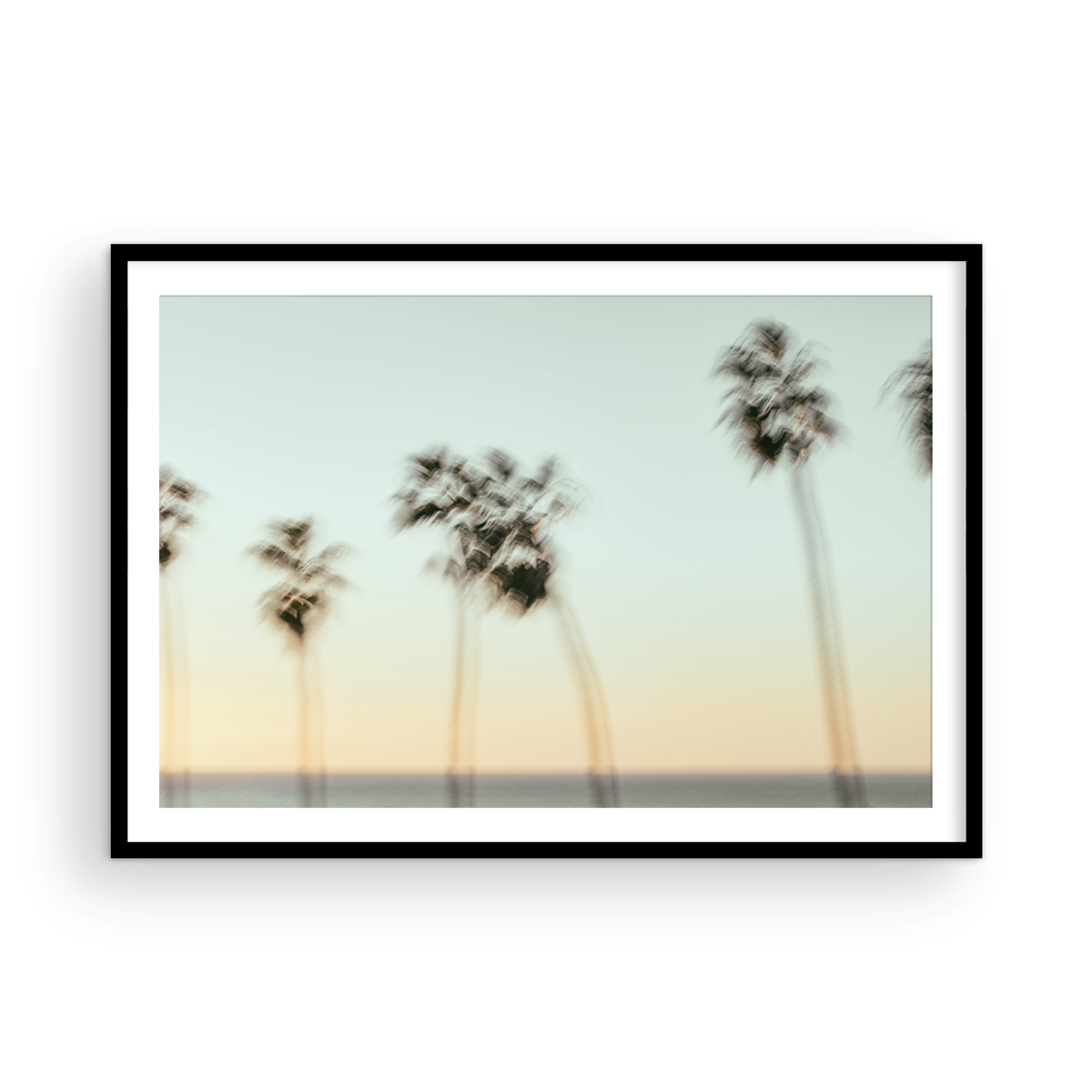 La Jolla Cove, Nine