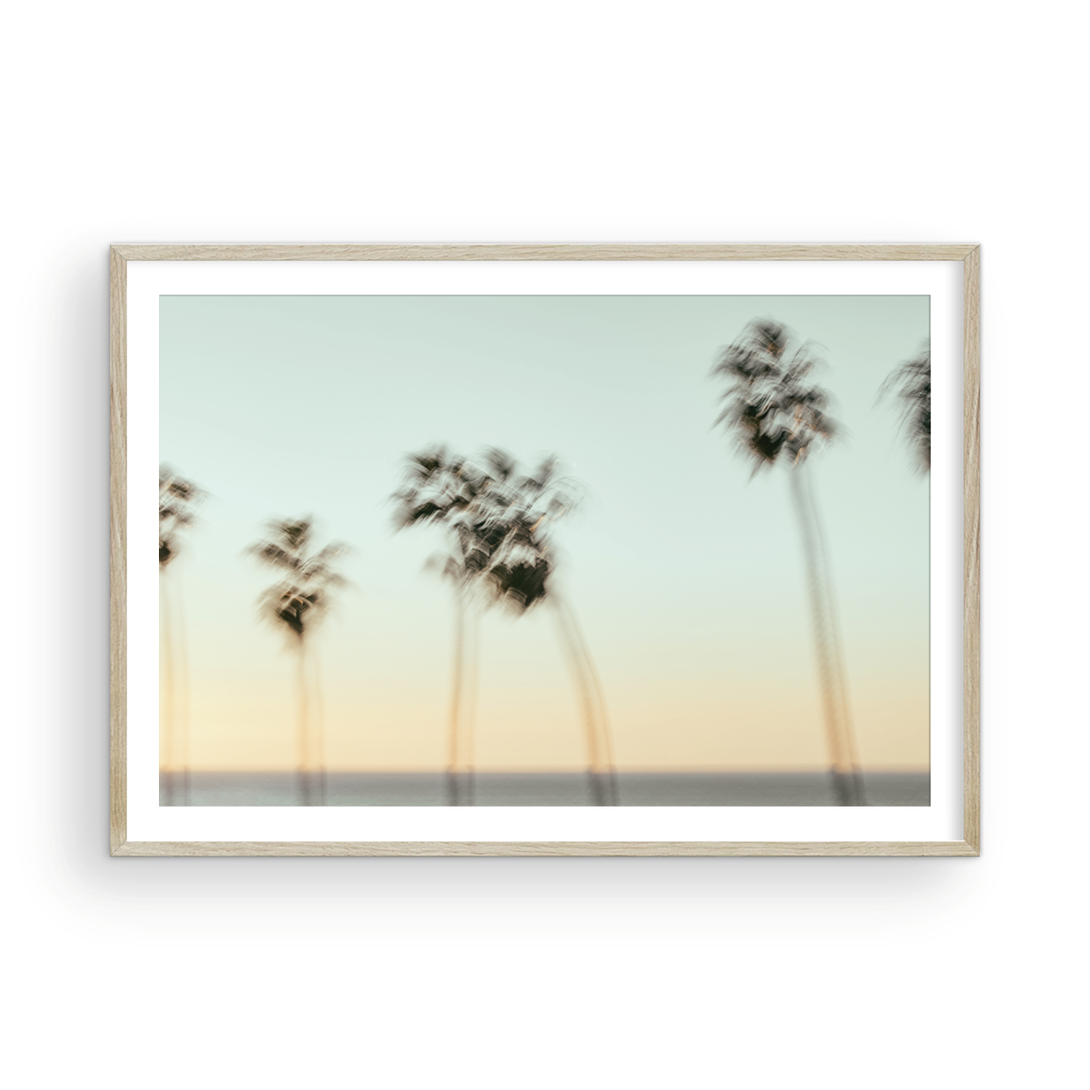 La Jolla Cove, Nine