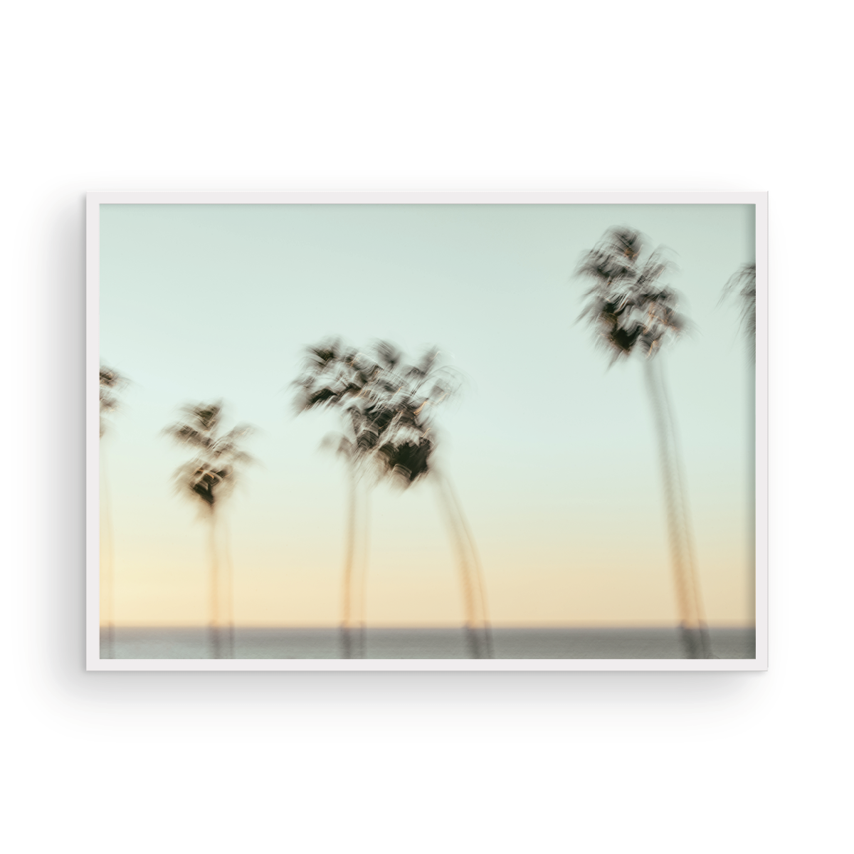 La Jolla Cove, Nine