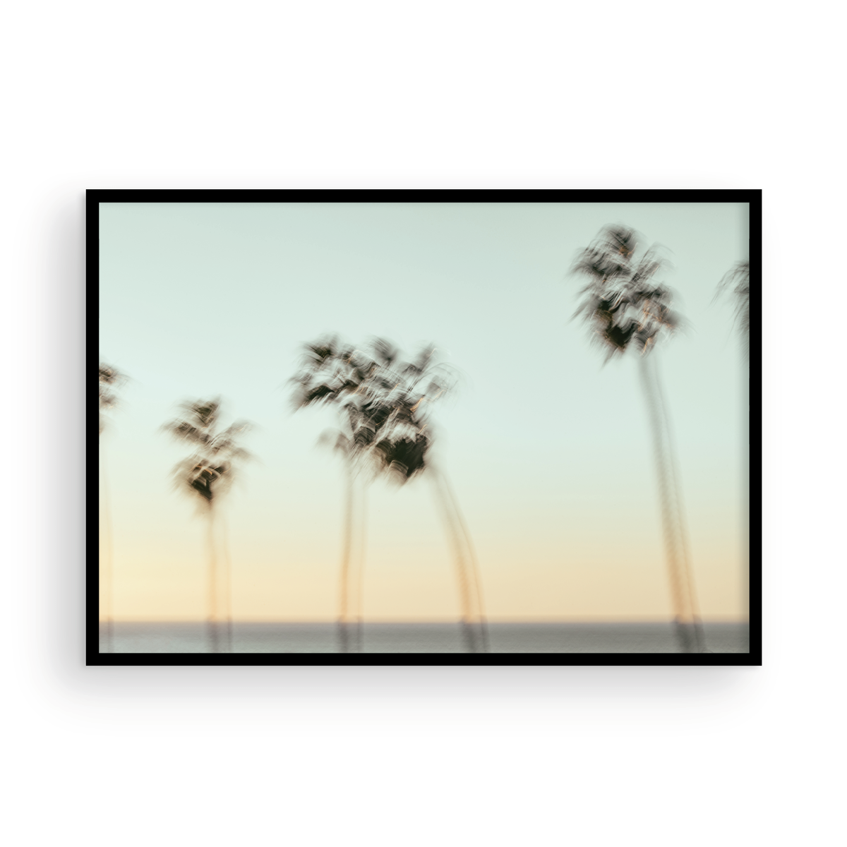 La Jolla Cove, Nine