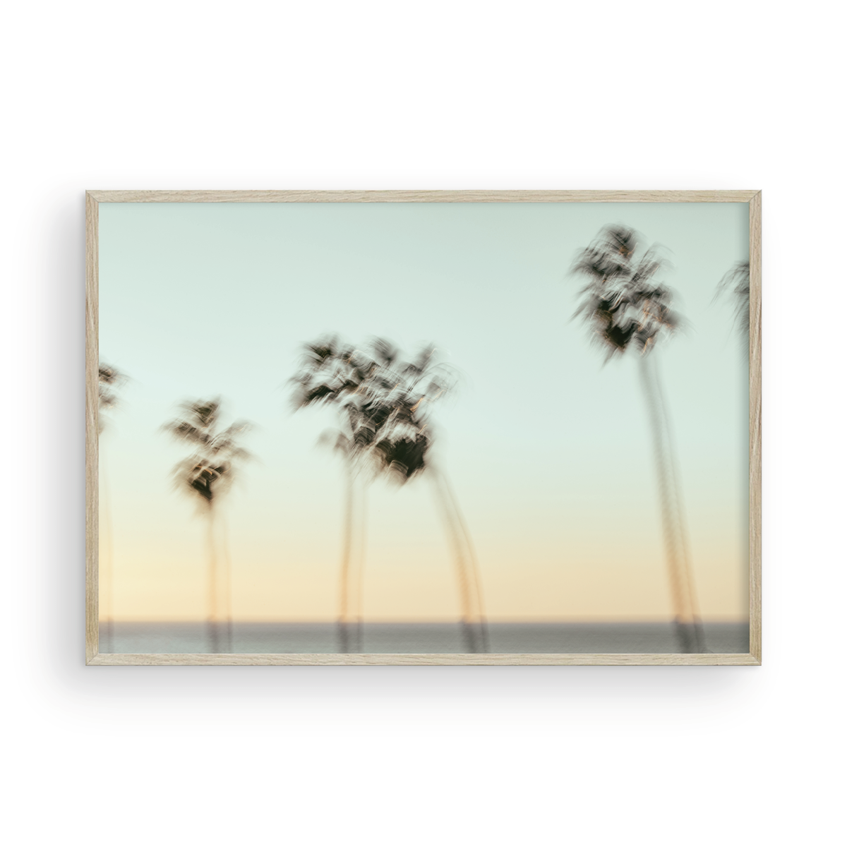 La Jolla Cove, Nine