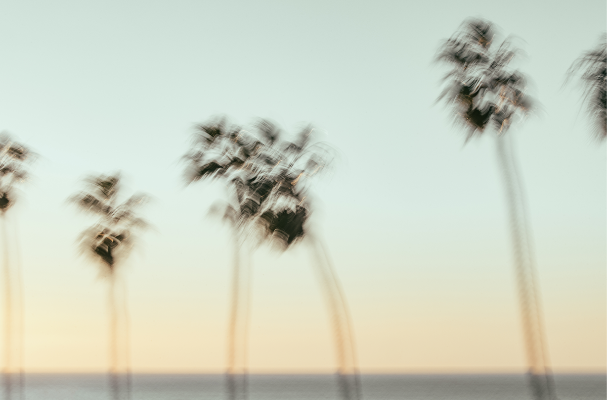 La Jolla Cove, Nine