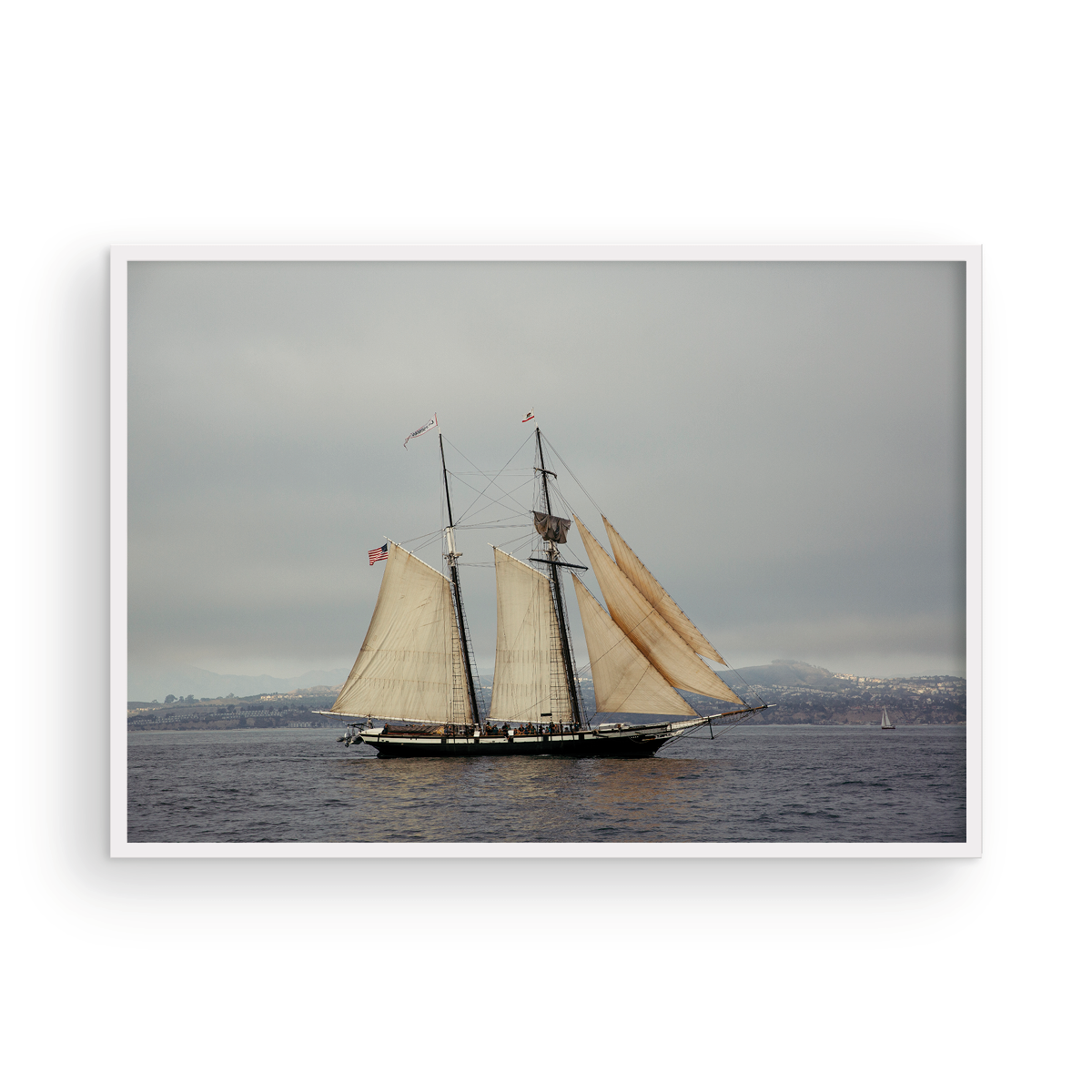 Tall Ships, One