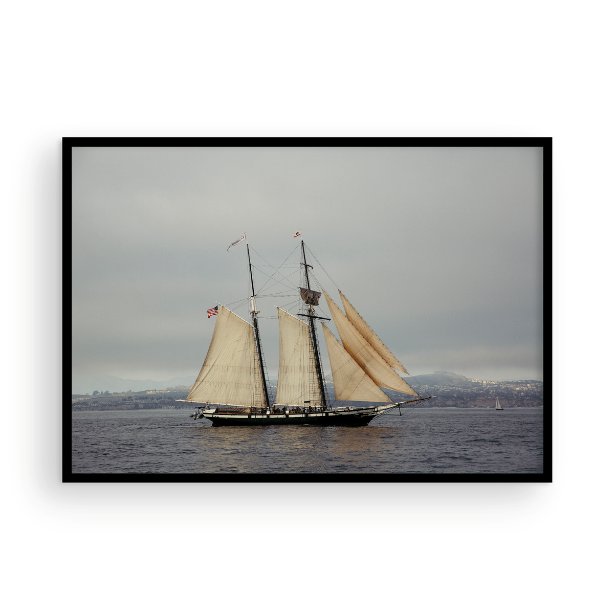 Tall Ships, One