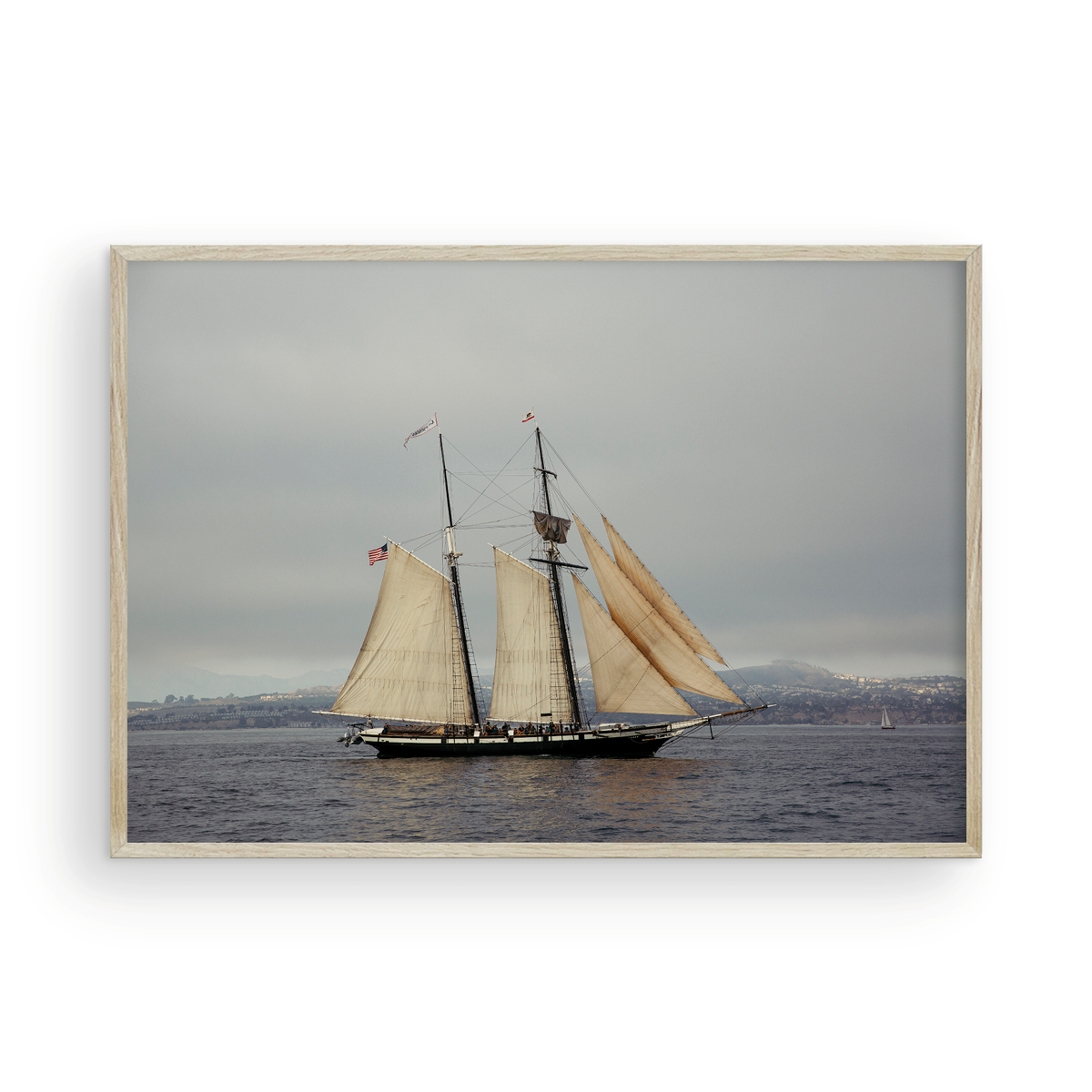 Tall Ships, One