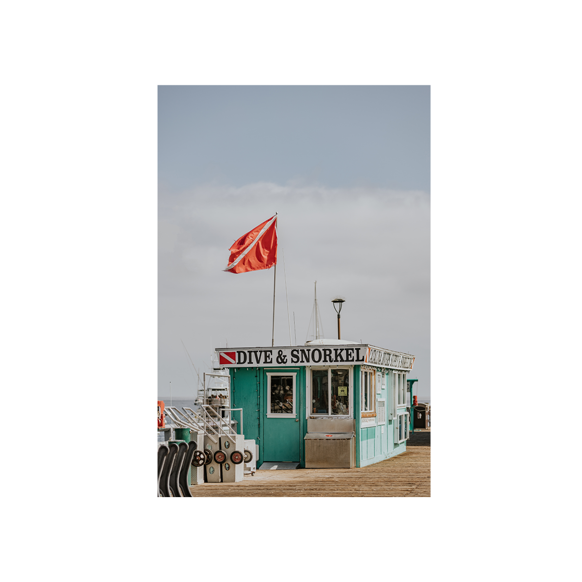 Catalina, Six