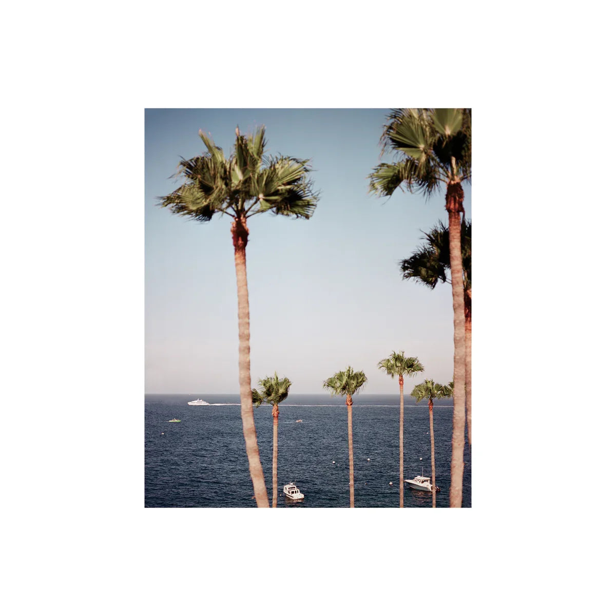 Catalina, Twelve: On Film