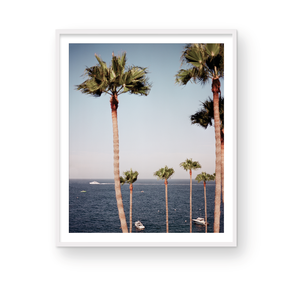 Catalina, Twelve: On Film