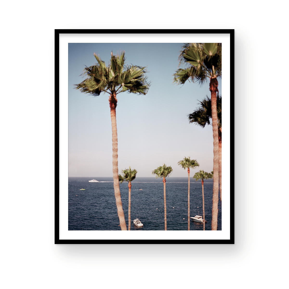 Catalina, Twelve: On Film